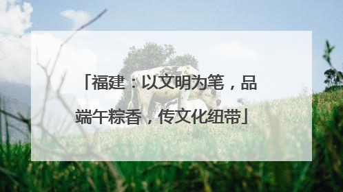 福建：以文明为笔，品端午粽香，传文化纽带