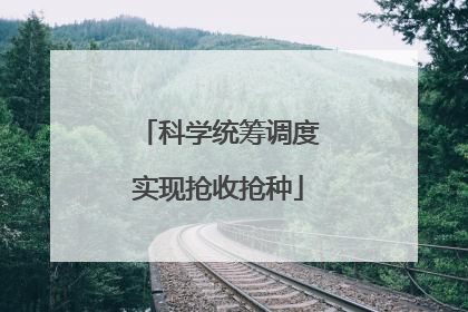 科学统筹调度实现抢收抢种