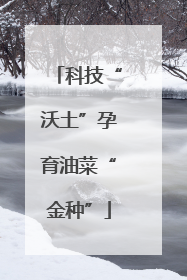 科技“沃土”孕育油菜“金种”