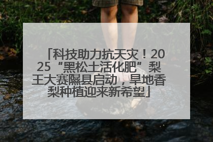 科技助力抗天灾！2025“黑松土活化肥”梨王大赛隰县启动，旱地香梨种植迎来新希望