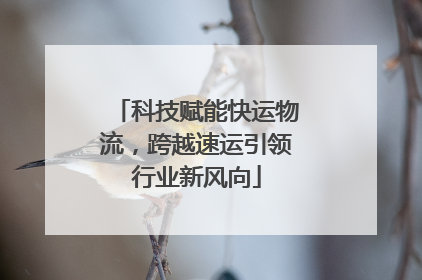 科技赋能快运物流，跨越速运引领行业新风向