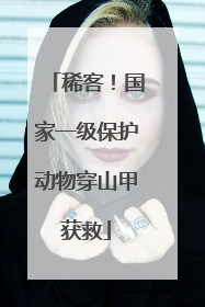 稀客！国家一级保护动物穿山甲获救