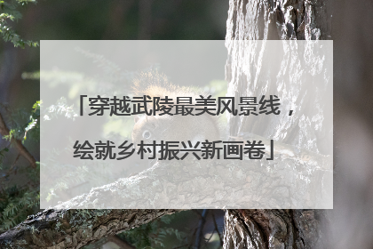 穿越武陵最美风景线，绘就乡村振兴新画卷