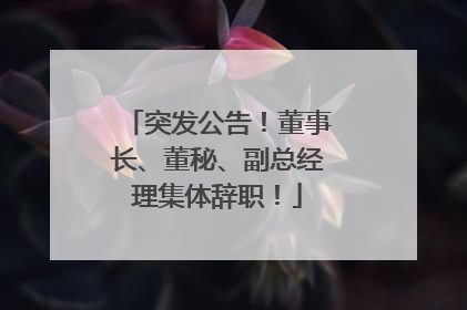 突发公告！董事长、董秘、副总经理集体辞职！
