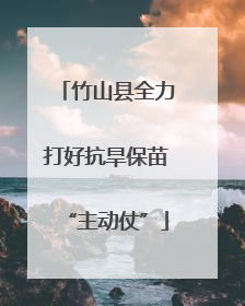 竹山县全力打好抗旱保苗“主动仗”