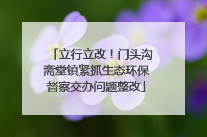 立行立改！门头沟斋堂镇紧抓生态环保督察交办问题整改