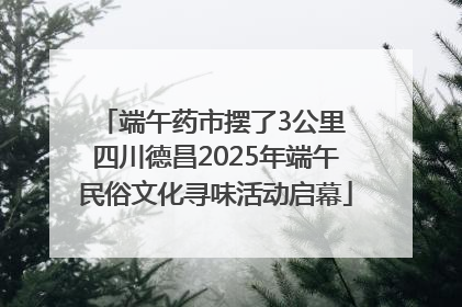 端午药市摆了3公里 四川德昌2025年端午民俗文化寻味活动启幕