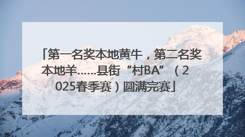 第一名奖本地黄牛，第二名奖本地羊……县街“村BA”（2025春季赛）圆满完赛