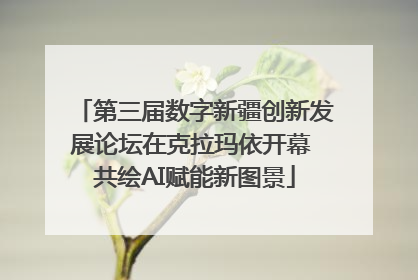 第三届数字新疆创新发展论坛在克拉玛依开幕 共绘AI赋能新图景