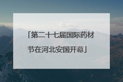 第二十七届国际药材节在河北安国开幕