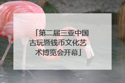 第二届三亚中国古玩暨钱币文化艺术博览会开幕