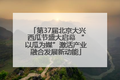 第37届北京大兴西瓜节盛大启幕 “以瓜为媒”激活产业融合发展新动能