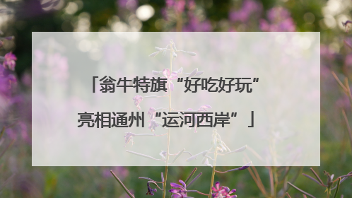 翁牛特旗“好吃好玩”亮相通州“运河西岸”