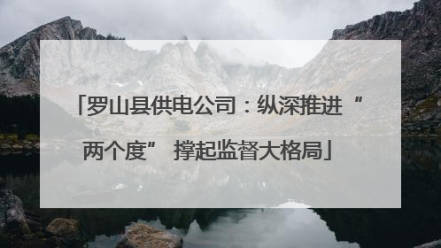 罗山县供电公司：纵深推进“两个度” 撑起监督大格局