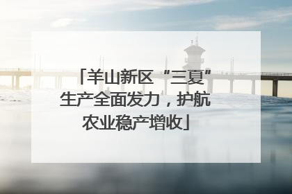 羊山新区“三夏”生产全面发力，护航农业稳产增收