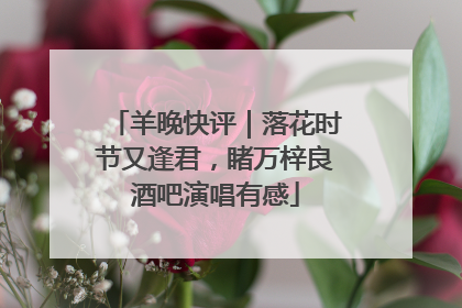 羊晚快评｜落花时节又逢君，睹万梓良酒吧演唱有感