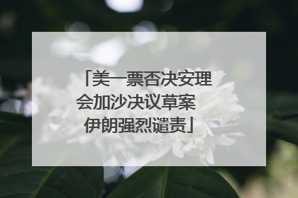 美一票否决安理会加沙决议草案 伊朗强烈谴责