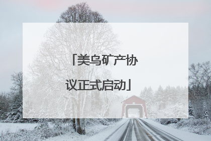 美乌矿产协议正式启动