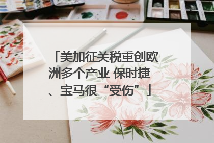 美加征关税重创欧洲多个产业 保时捷、宝马很“受伤”