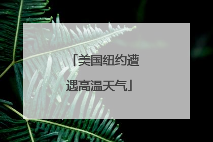 美国纽约遭遇高温天气