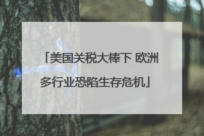 美国关税大棒下 欧洲多行业恐陷生存危机