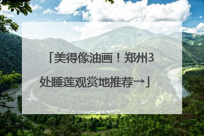美得像油画！郑州3处睡莲观赏地推荐→