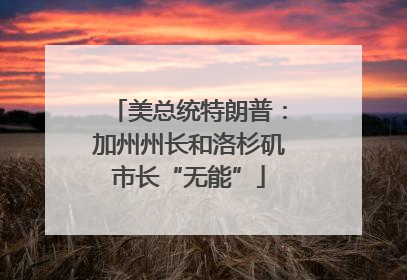 美总统特朗普：加州州长和洛杉矶市长“无能”