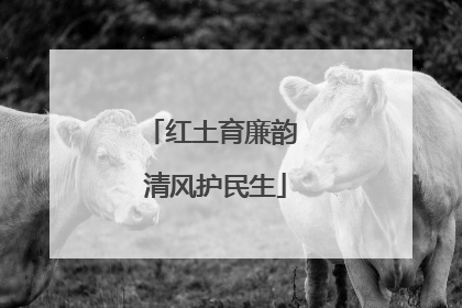红土育廉韵 清风护民生