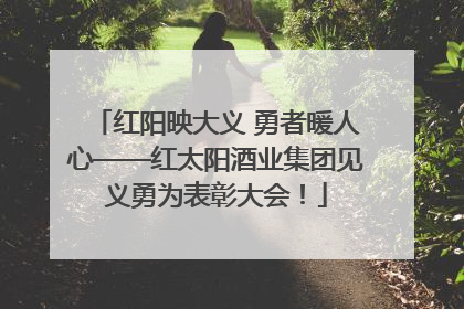 红阳映大义 勇者暖人心——红太阳酒业集团见义勇为表彰大会！
