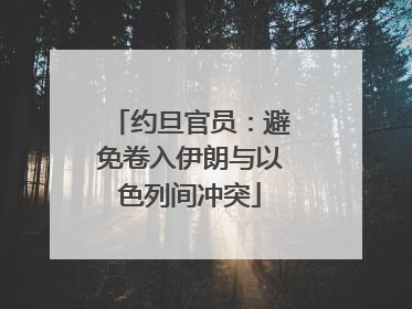 约旦官员：避免卷入伊朗与以色列间冲突