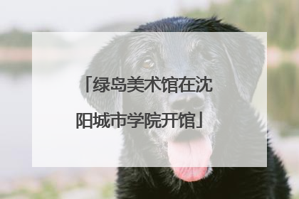 绿岛美术馆在沈阳城市学院开馆