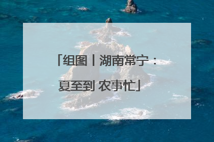 组图丨湖南常宁：夏至到 农事忙