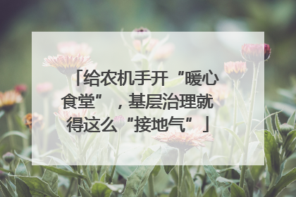 给农机手开“暖心食堂”，基层治理就得这么“接地气”