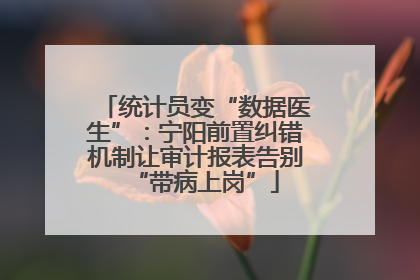 统计员变“数据医生”：宁阳前置纠错机制让审计报表告别“带病上岗”