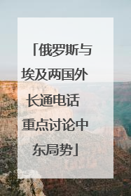 俄罗斯与埃及两国外长通电话 重点讨论中东局势
