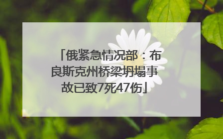 俄紧急情况部：布良斯克州桥梁坍塌事故已致7死47伤