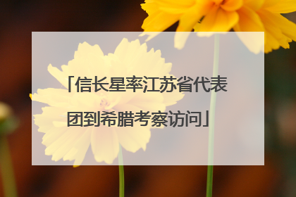 信长星率江苏省代表团到希腊考察访问