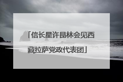 信长星许昆林会见西藏拉萨党政代表团