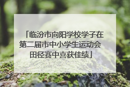 临汾市向阳学校学子在第二届市中小学生运动会田径赛中喜获佳绩