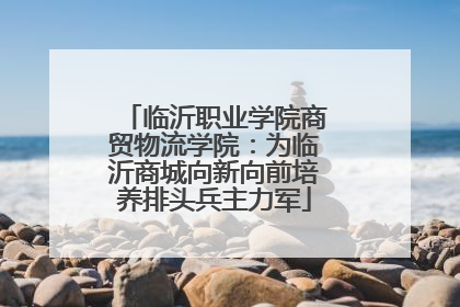 临沂职业学院商贸物流学院：为临沂商城向新向前培养排头兵主力军
