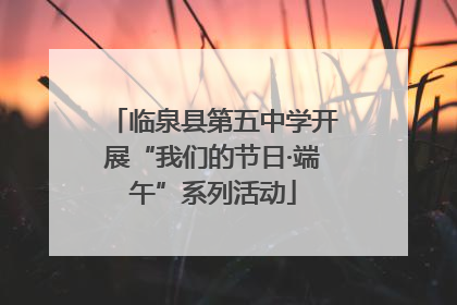 临泉县第五中学开展“我们的节日·端午”系列活动