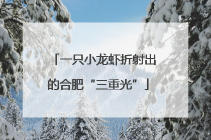 一只小龙虾折射出的合肥“三重光”