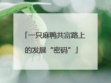 一只麻鸭共富路上的发展“密码”
