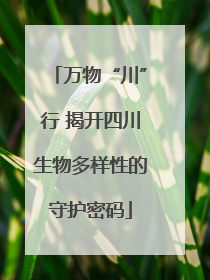 万物“川”行 揭开四川生物多样性的守护密码