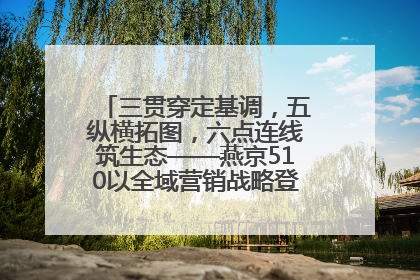 三贯穿定基调，五纵横拓图，六点连线筑生态——燕京510以全域营销战略登顶行业IP新高度