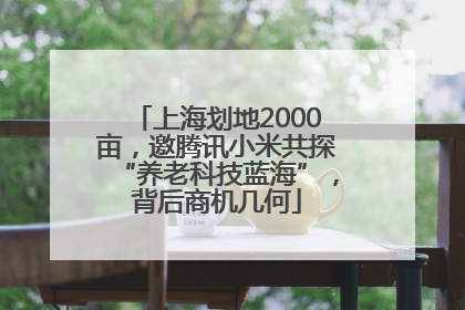 上海划地2000亩，邀腾讯小米共探“养老科技蓝海”，背后商机几何