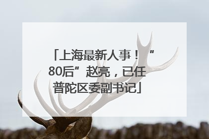 上海最新人事！“80后”赵亮，已任普陀区委副书记