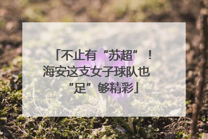 不止有“苏超”！海安这支女子球队也“足”够精彩