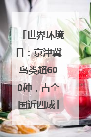 世界环境日：京津冀鸟类超600种，占全国近四成