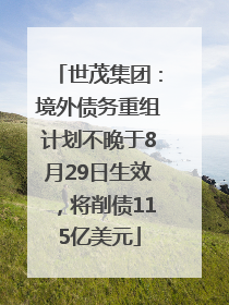 世茂集团：境外债务重组计划不晚于8月29日生效，将削债115亿美元